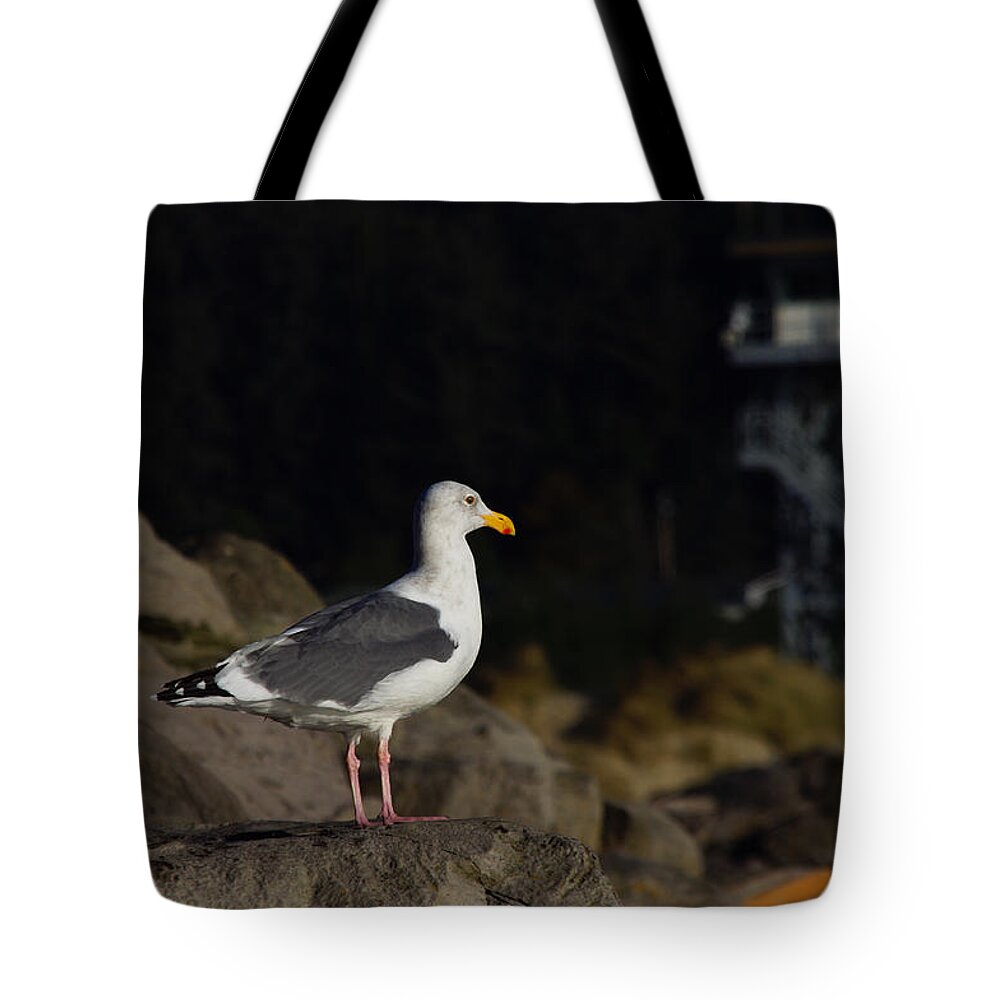 Adria Trail Tote Bag featuring the photograph Watching by Adria Trail