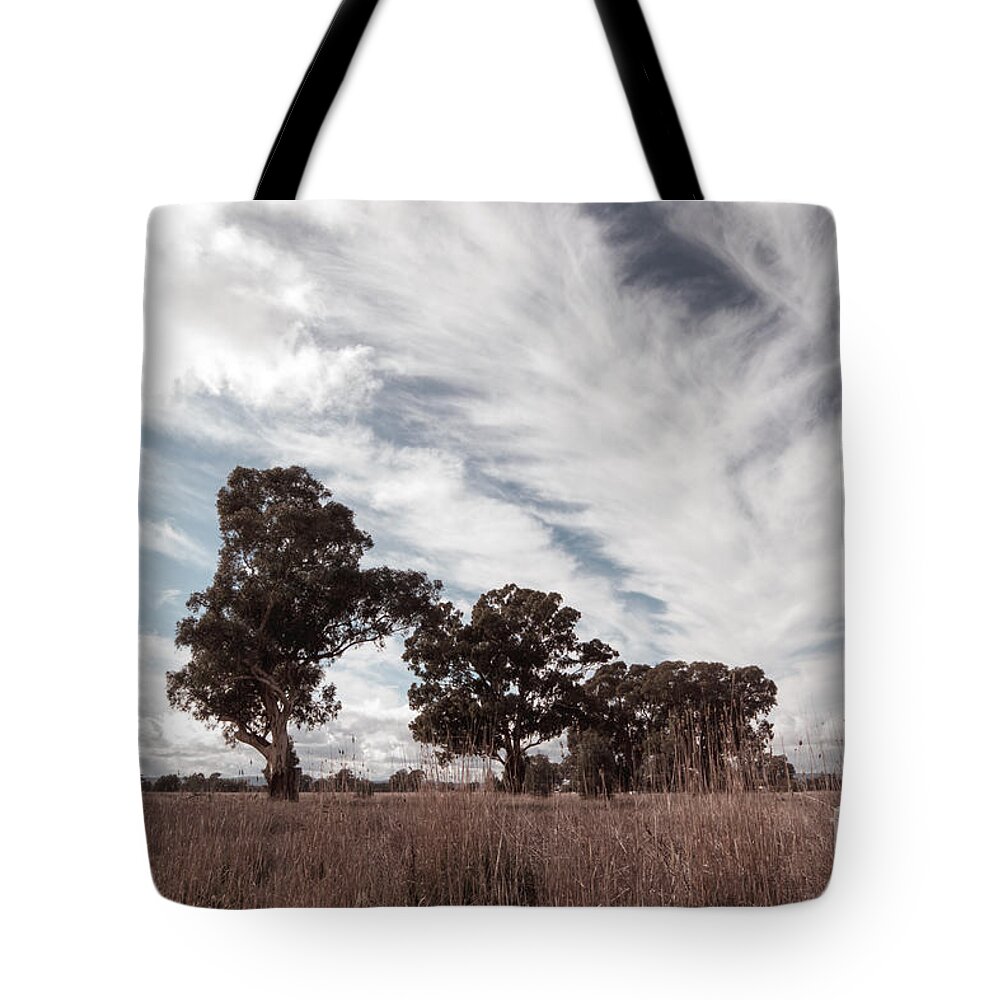 Clouds Tote Bag featuring the photograph Watching clouds float across the sky by Linda Lees