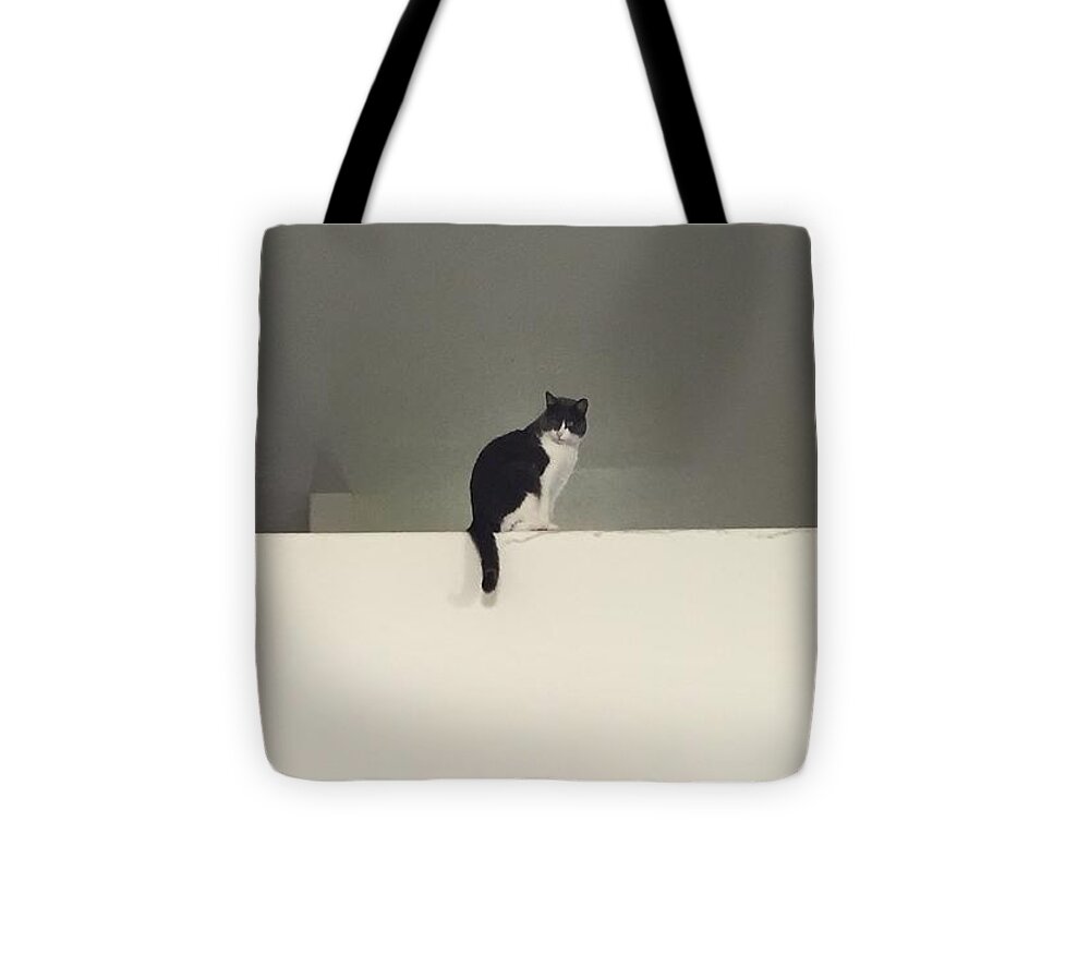 Cat Tote Bag featuring the photograph Watching by Erika Jean Chamberlin