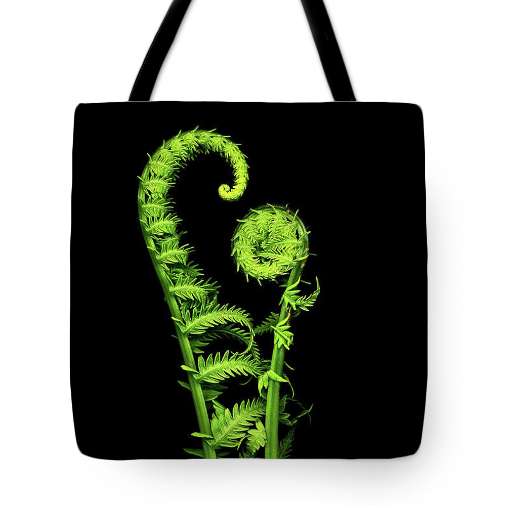 Fiddlehead Tote Bag featuring the photograph Watching Over You by Patty Colabuono