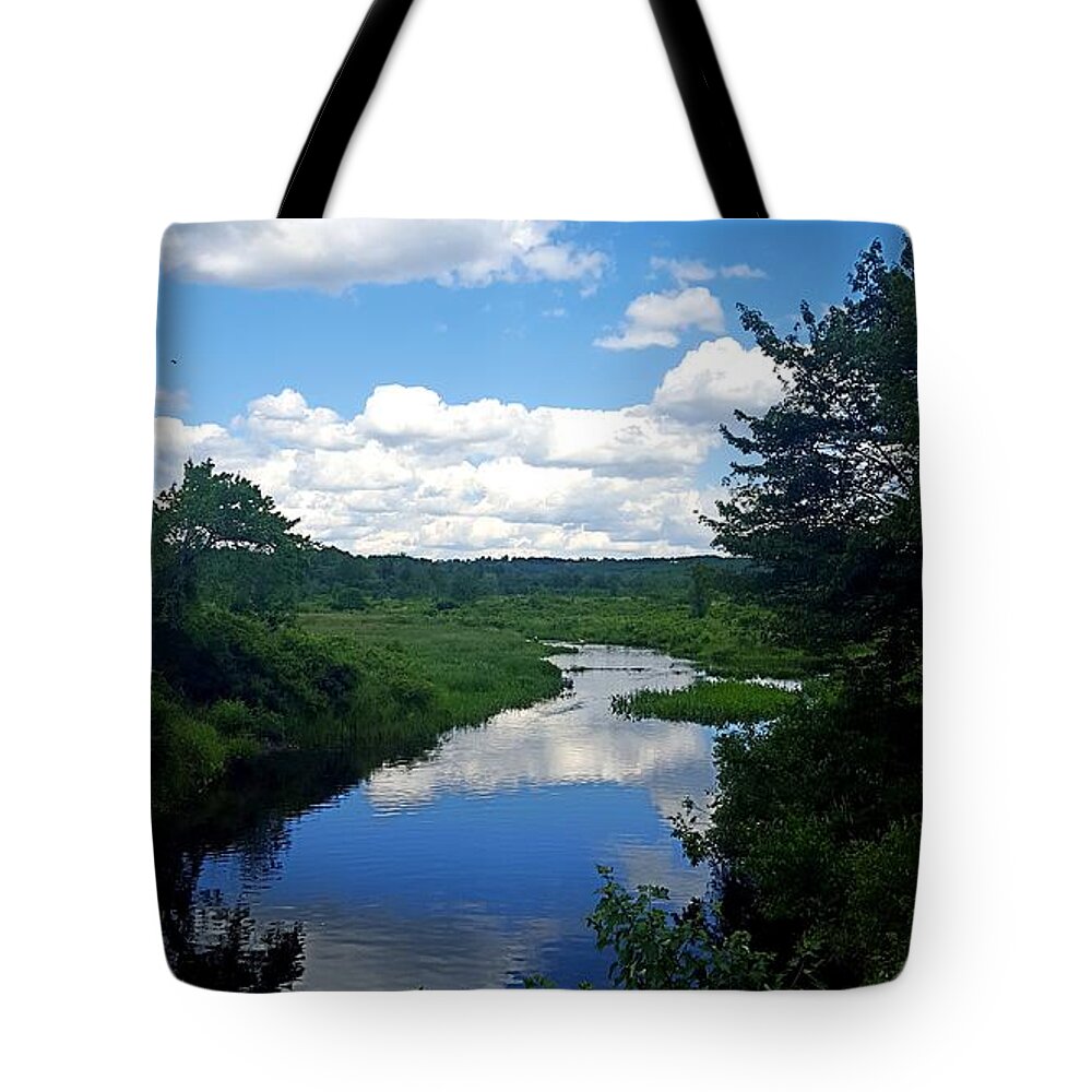 Reflections Tote Bag featuring the photograph Water and Woods in Warren by Dani McEvoy