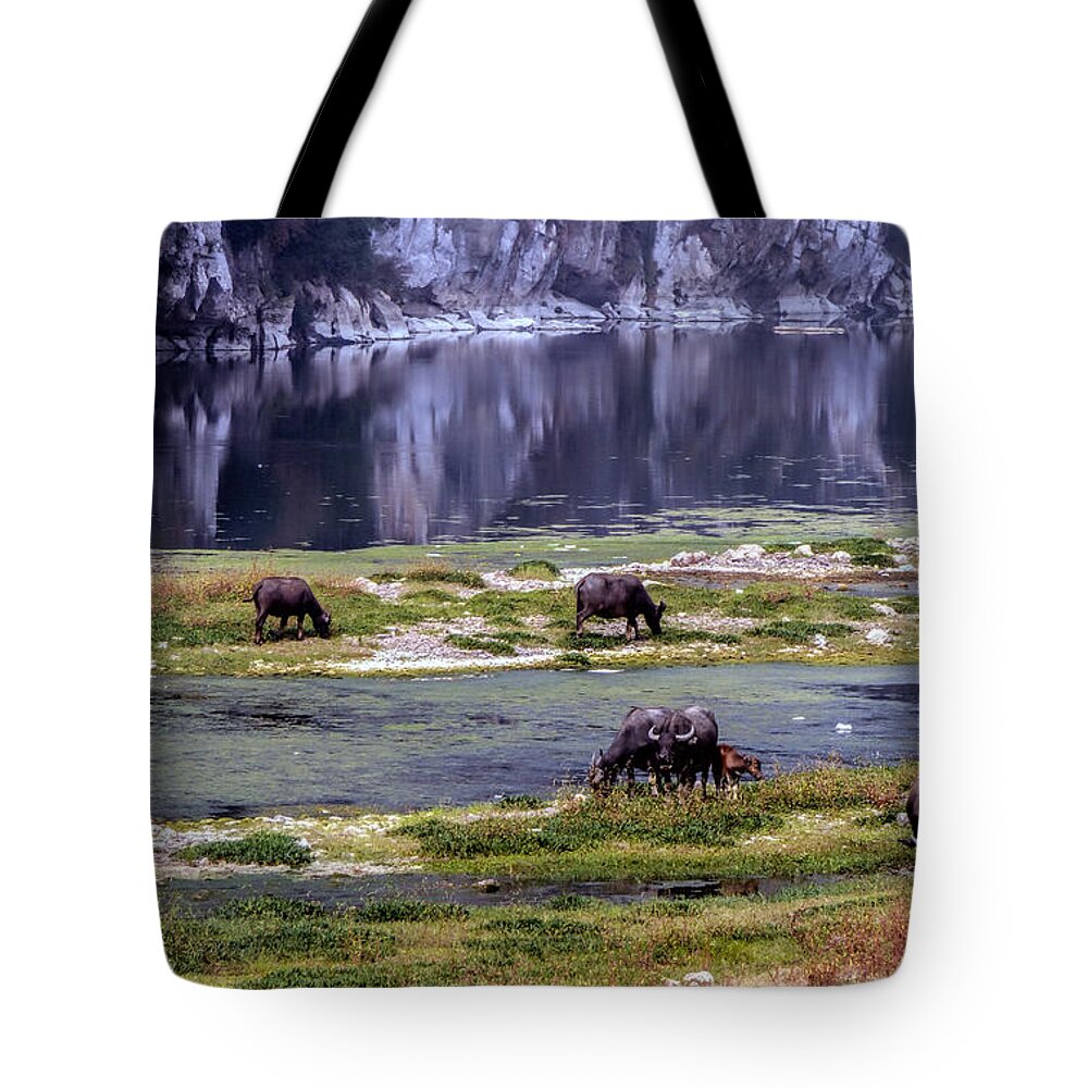 Water Buffalo Tote Bag featuring the photograph Water Buffalo on the Li River China by Lynn Bolt