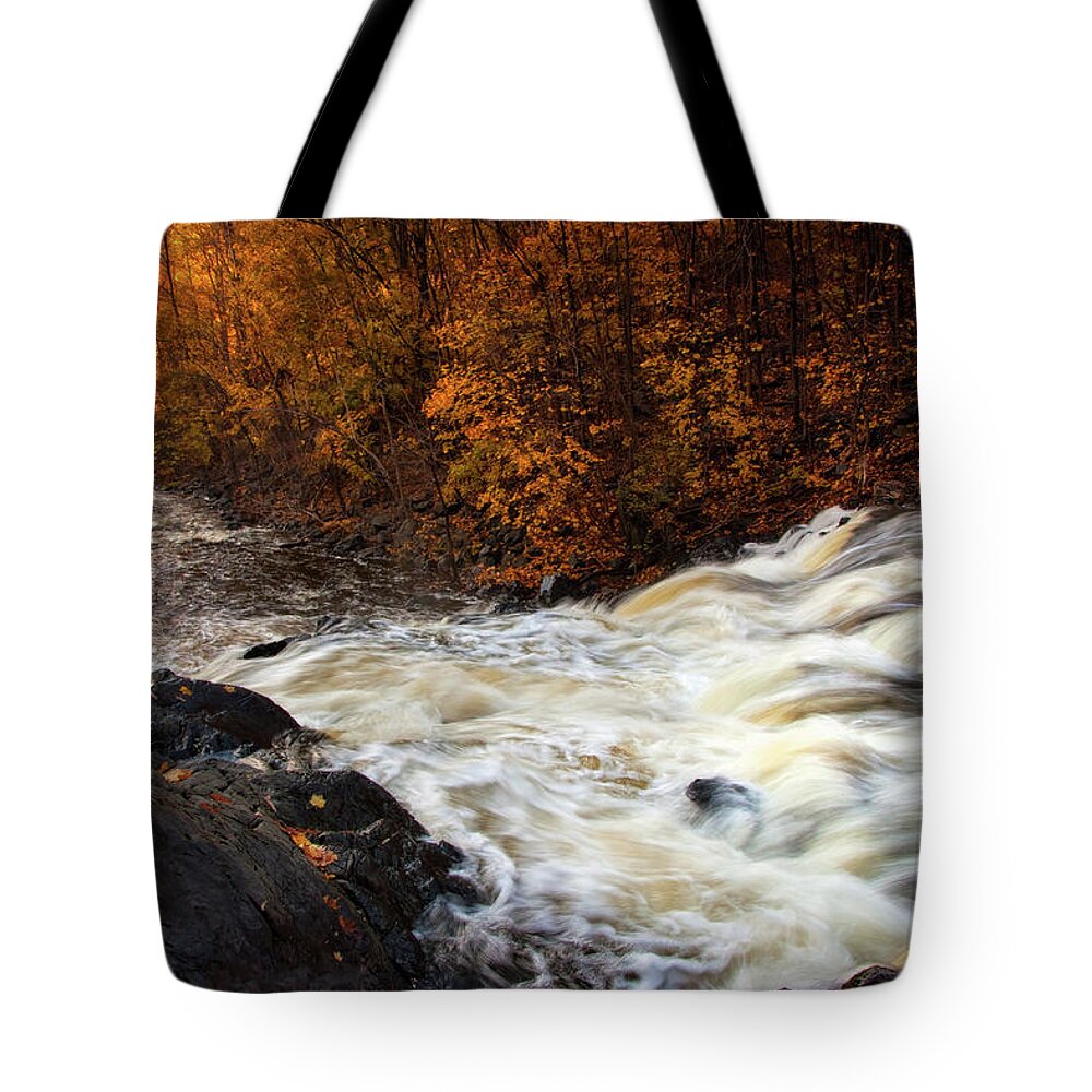 Capital District Tote Bag featuring the photograph Water Dances by Neil Shapiro