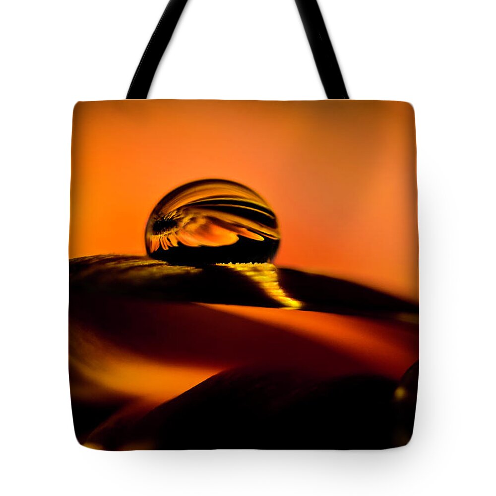 Water Drop Tote Bag featuring the photograph Water drop on Orange by Wolfgang Stocker