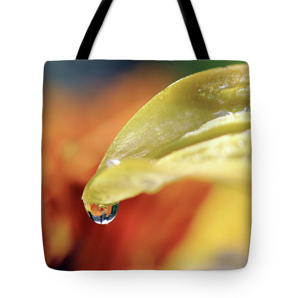 Water Drop Tote Bag featuring the photograph Water Droplet on Yellow Petal by Angela Murdock
