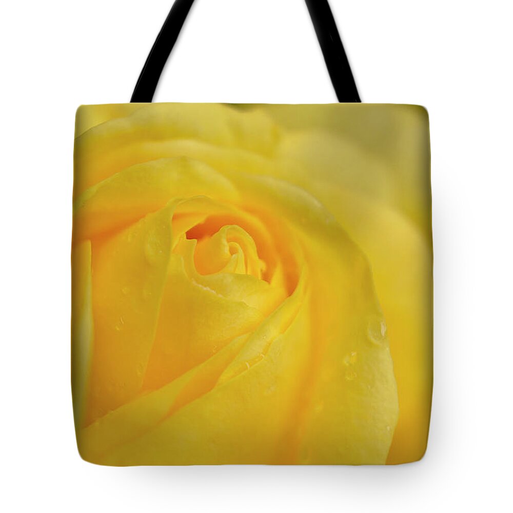 Floral Tote Bag featuring the photograph Water drops on Yellow Rose. by Elena Perelman
