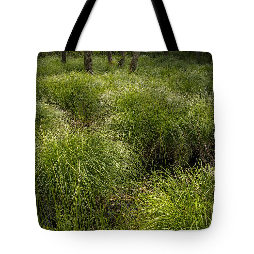 Grass Tote Bag featuring the photograph Water Huld in the woods. by Elmer Jensen