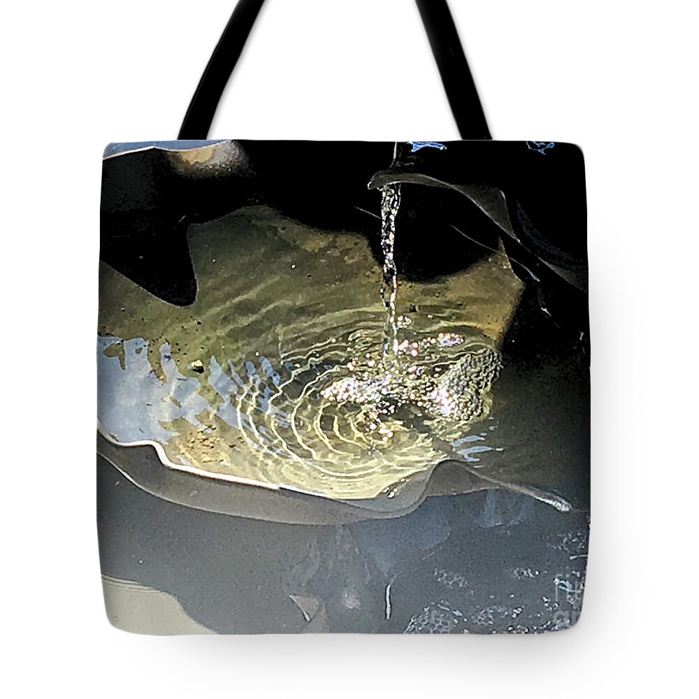Water Tote Bag featuring the photograph Water in the shell by Eva-Maria Di Bella