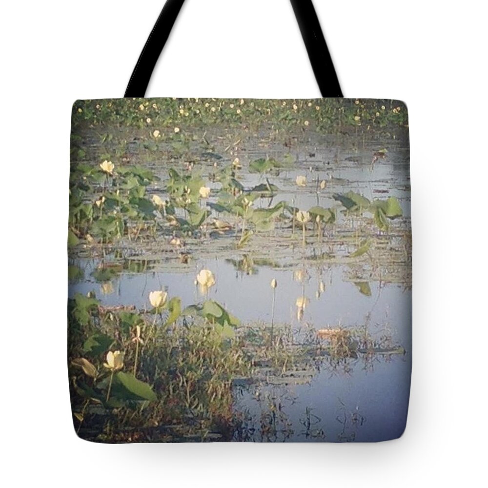 Water Lilies Tote Bag featuring the photograph Water Lilies by Heather Classen