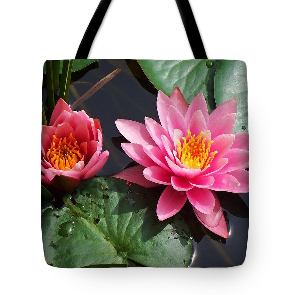 Water Lilies Tote Bag featuring the photograph Water Lilies by Joy Nichols