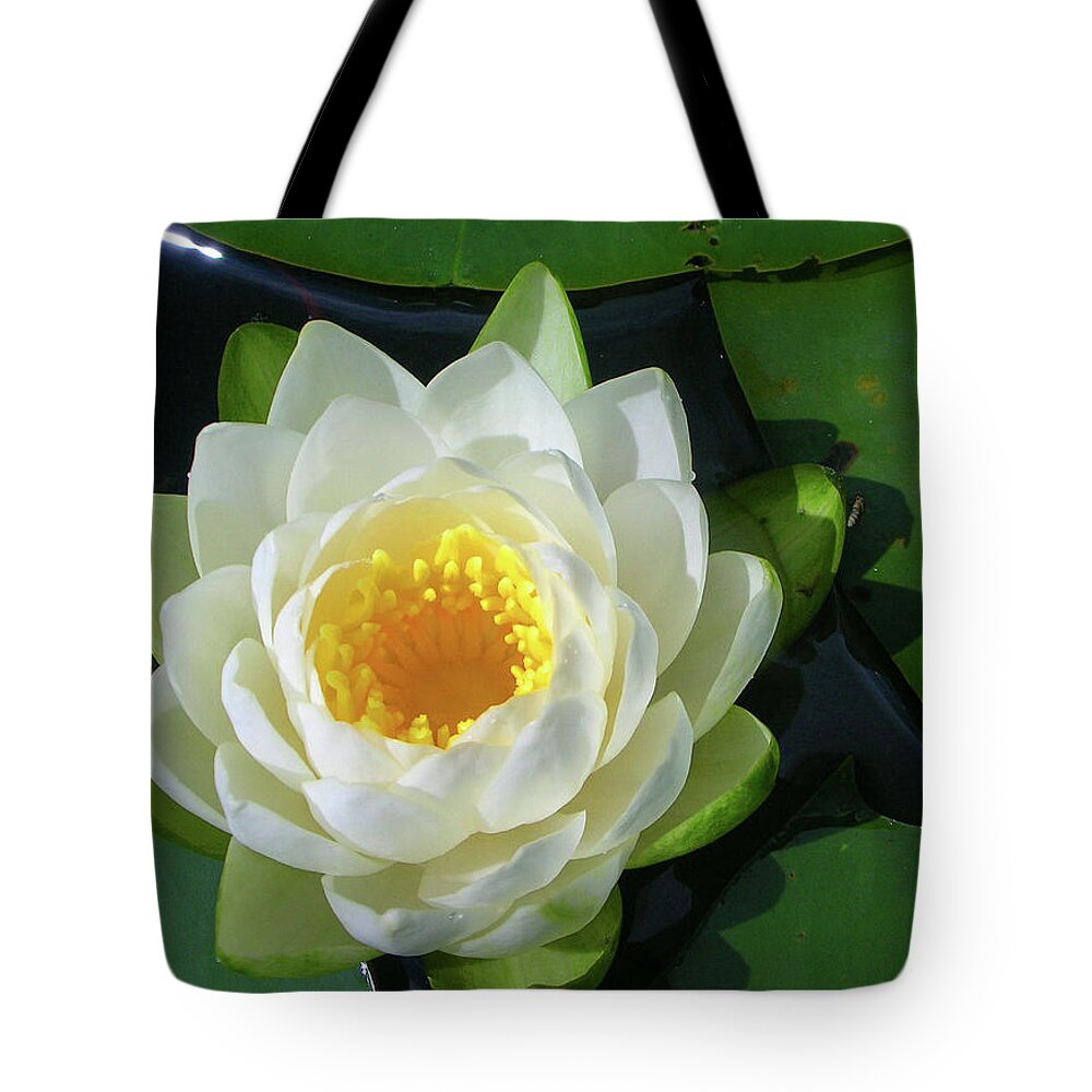 Cassadaga Lakes Tote Bag featuring the photograph Water Lily 3437 by Guy Whiteley
