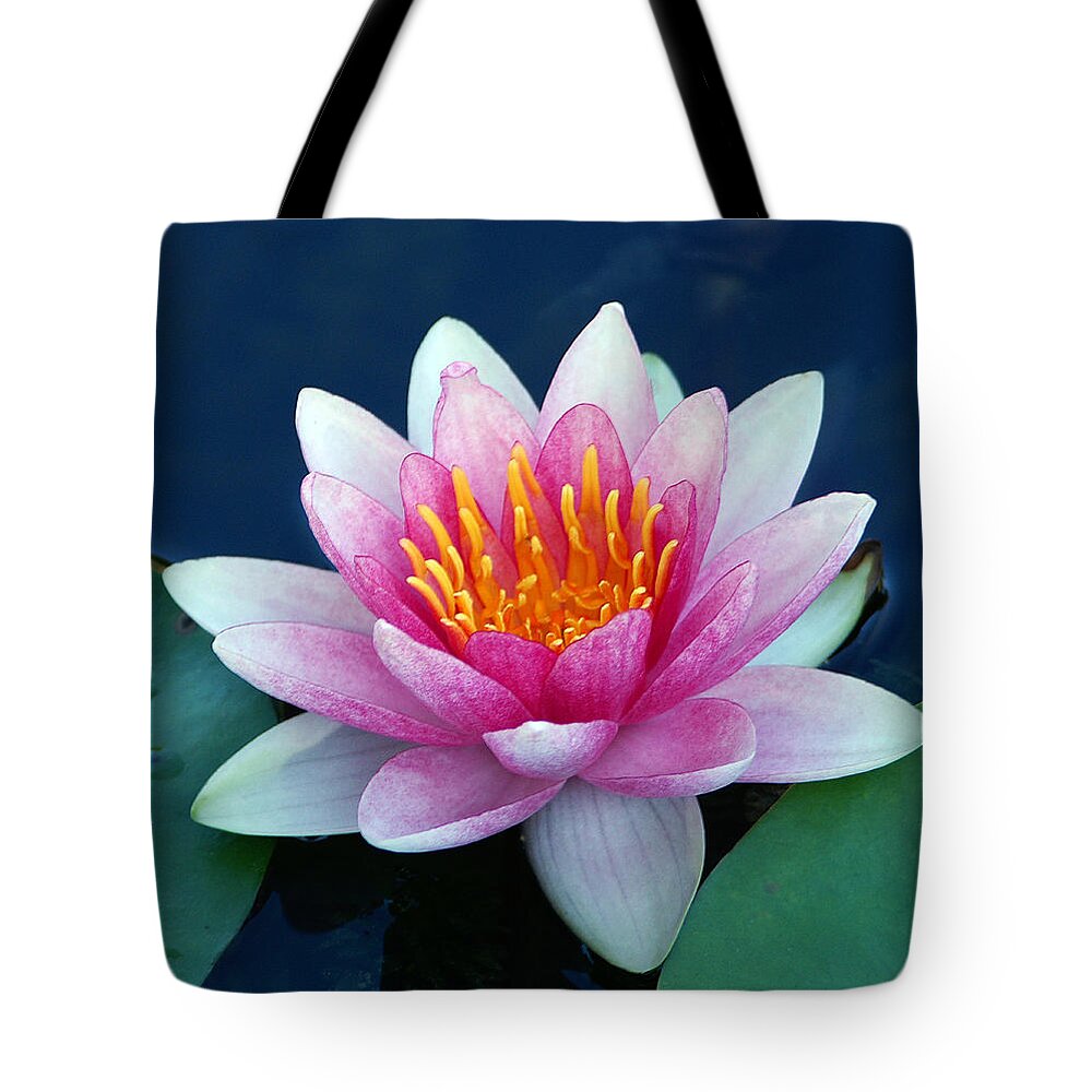 Water Lily Tote Bag featuring the photograph Water Lily by Bill Morgenstern