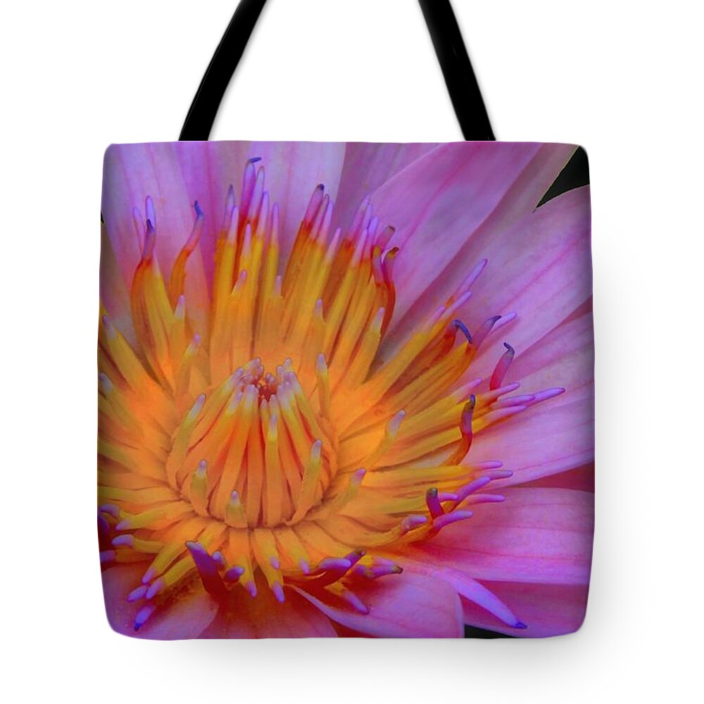 Flower Tote Bag featuring the photograph Water Lily by DJ Florek