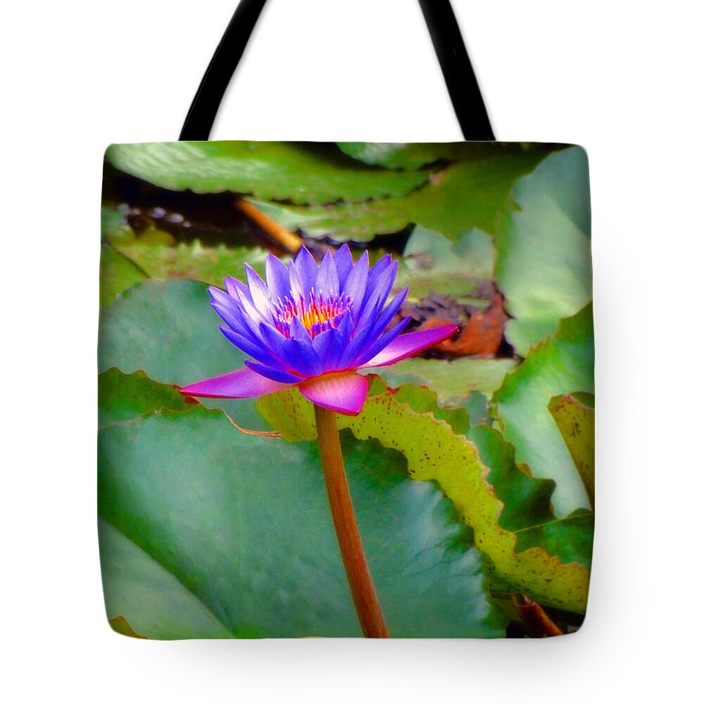 Lily Tote Bag featuring the photograph Water Lily in Tahiti by Sue Melvin