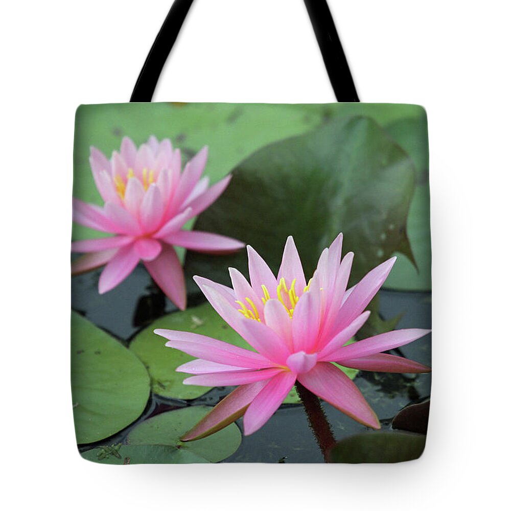 Water Lily Tote Bag featuring the photograph Water Lily by Jackson Pearson