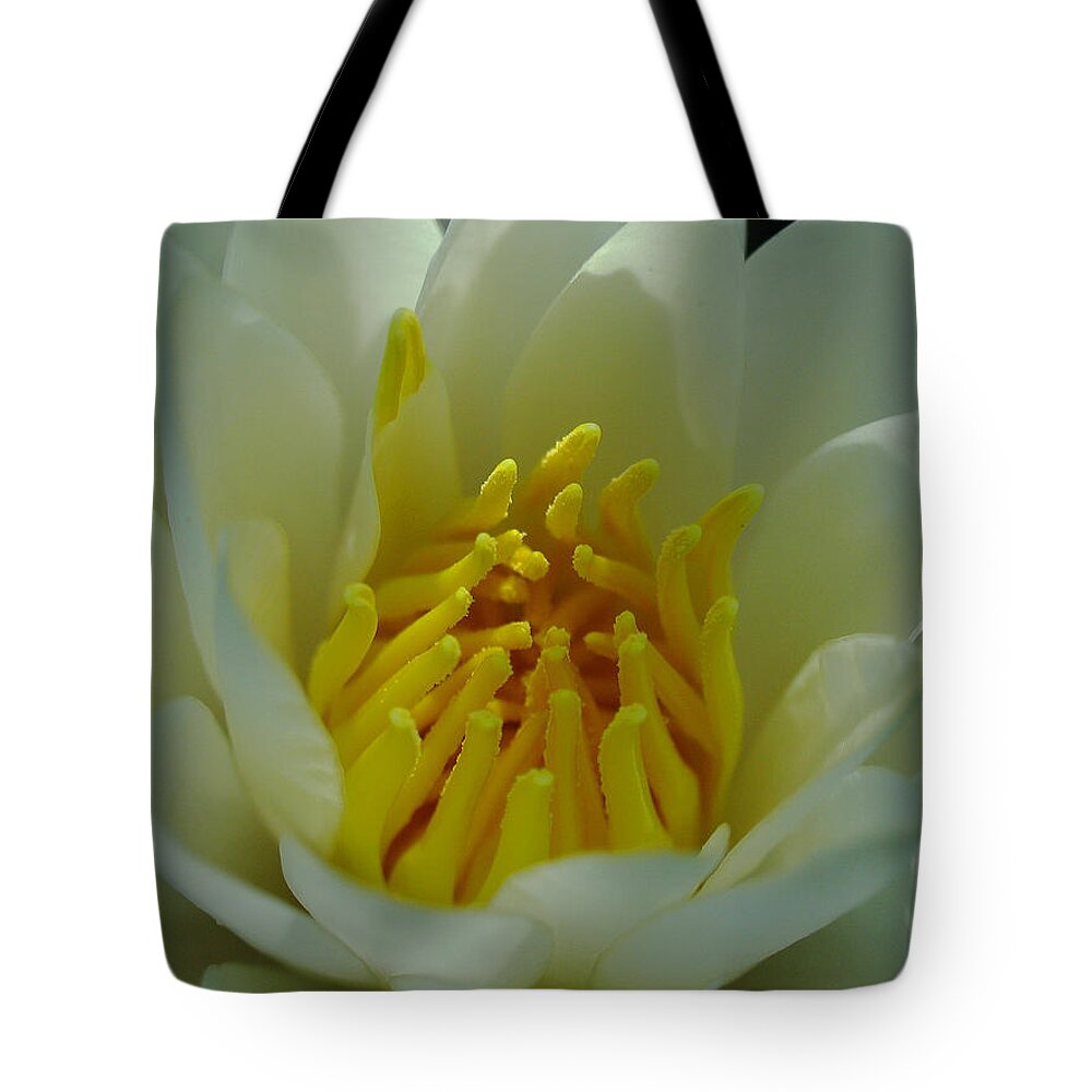 Lily Tote Bag featuring the photograph Water Lily by Juergen Roth