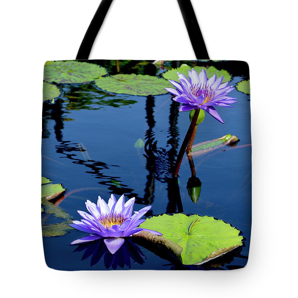 Water Lily Tote Bag featuring the photograph Water Lily by Lisa Blake