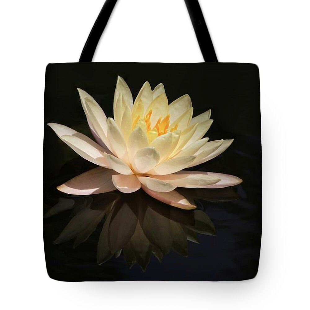 Water Lily Tote Bag featuring the photograph Water Lily Reflected by Sabrina L Ryan