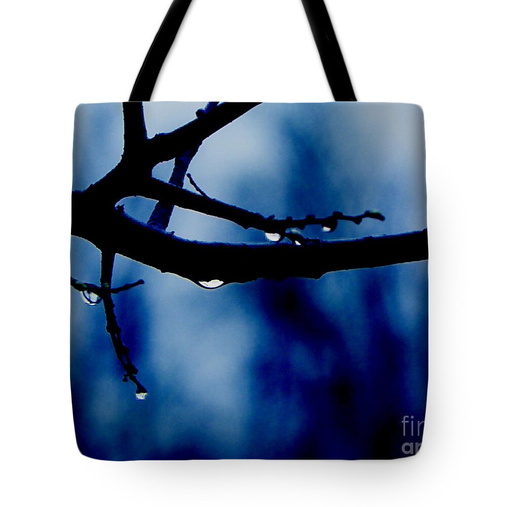Branch Water Tree Drop Drops Photo Art Artist Artistic Landscape A An The Wet Dark Blue Branches Craig Walters On Of Photograph Tote Bag featuring the digital art Water on Branch by Craig Walters