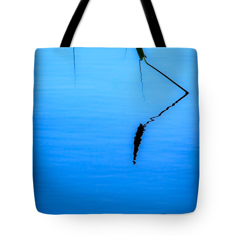 Minimalism Tote Bag featuring the photograph Water Plants - Minimalist by James Aiken