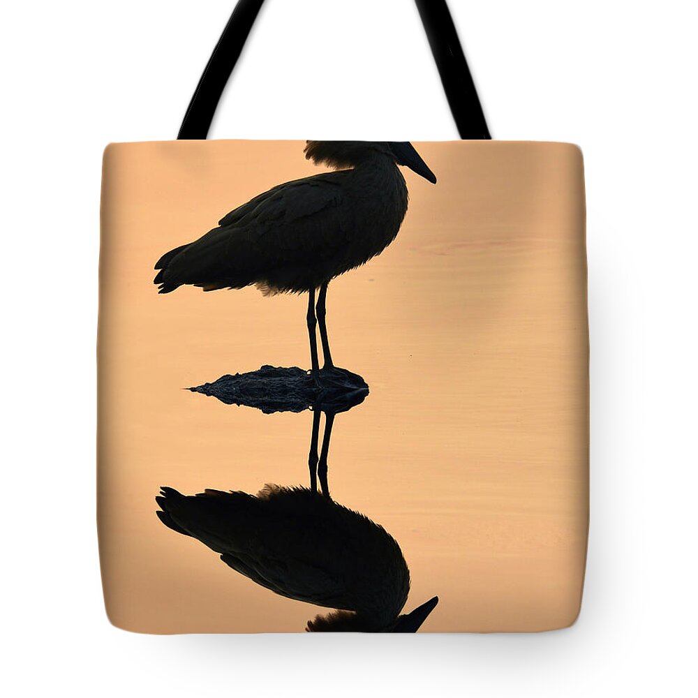 Silhouette Tote Bag featuring the photograph Waterbird Silhouette at Dusk by Joe Bonita