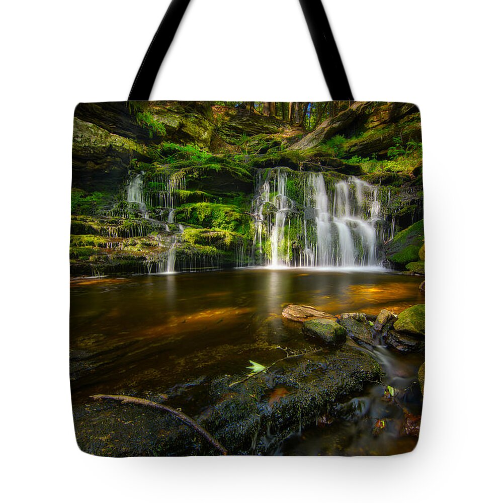 Landscape Tote Bag featuring the photograph Waterfall at Day Pond State Park by Craig Szymanski