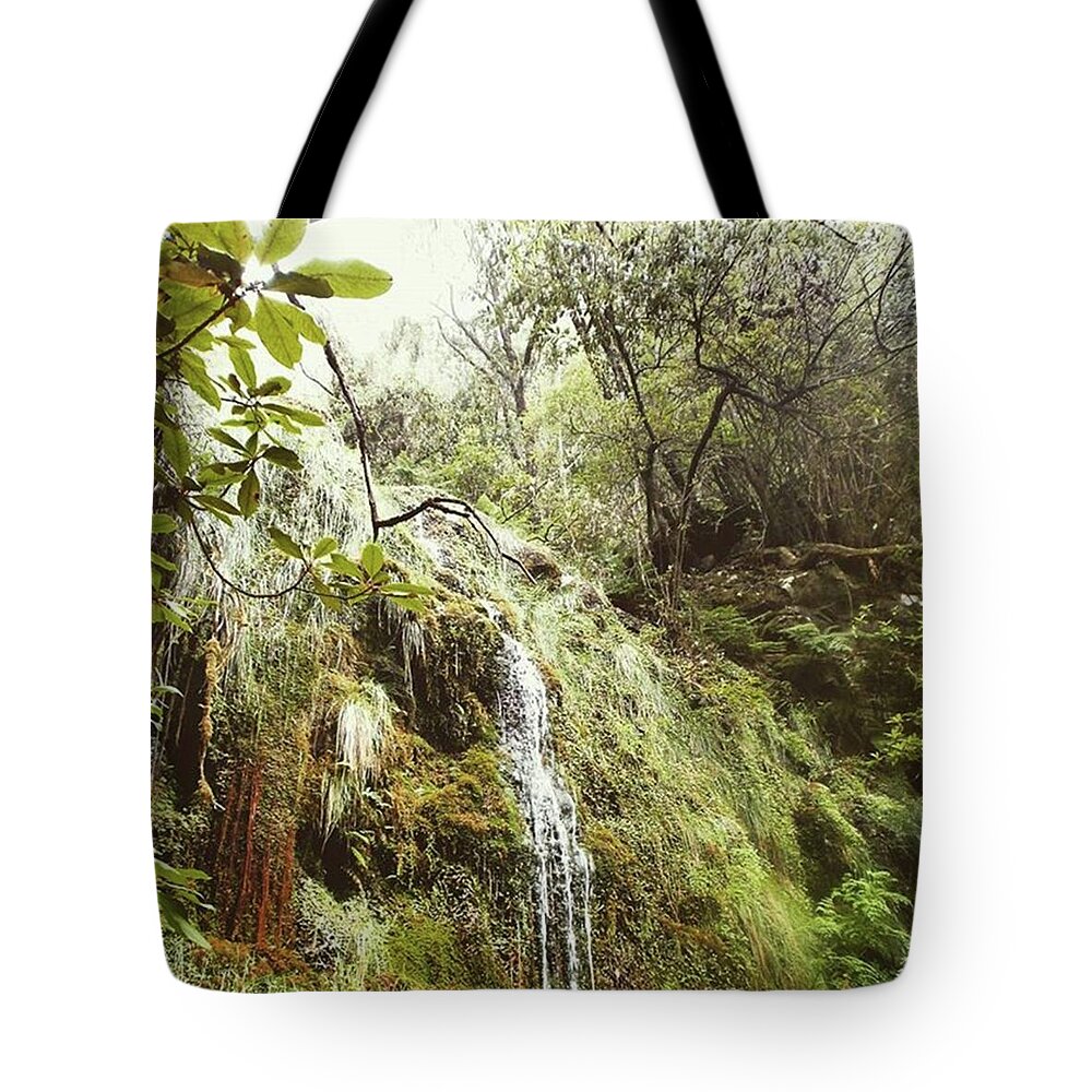 Europe Tote Bag featuring the photograph Waterfall In The Laurel Forest by Eva Dobrikova