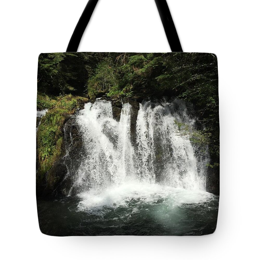 Waterfall Tote Bag featuring the photograph Waterfalls in Juneau  by Robert Blankenship