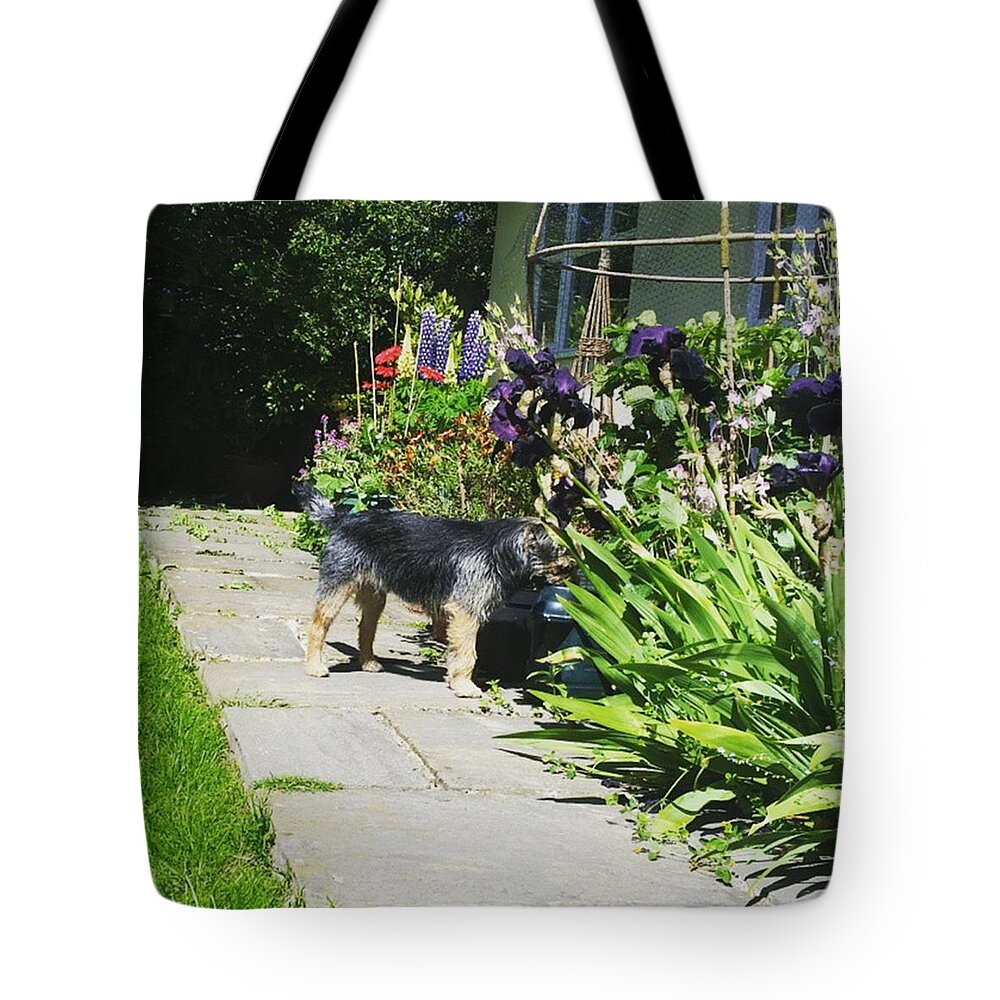 Bestfriend Tote Bag featuring the photograph Watering Hole by Rowena Tutty