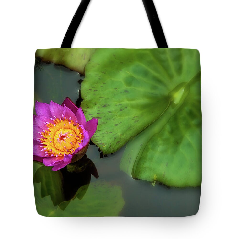 Nature Tote Bag featuring the photograph Waterlily 5 by Jonathan Nguyen