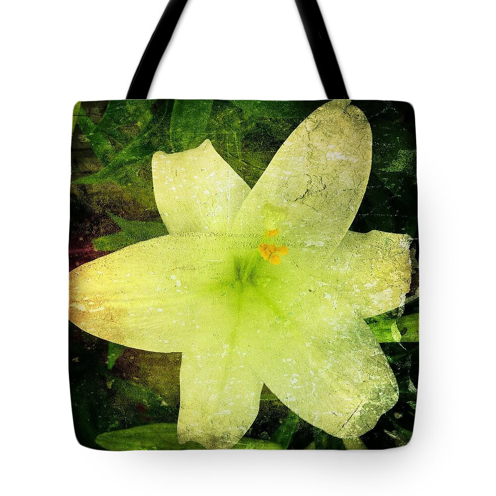 Flower Tote Bag featuring the photograph Waterlogged by Carlos Avila