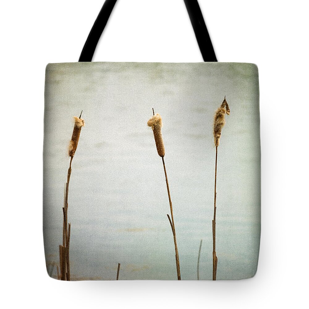 Tennessee Tote Bag featuring the photograph Water's Edge No. 2 by Todd Blanchard