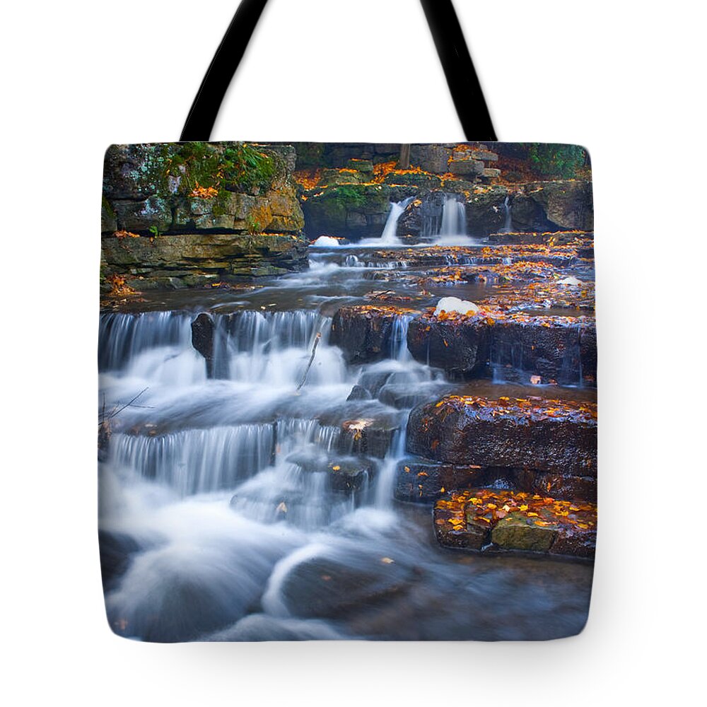 Wisconsin Tote Bag featuring the photograph Watery Steps by David Heilman