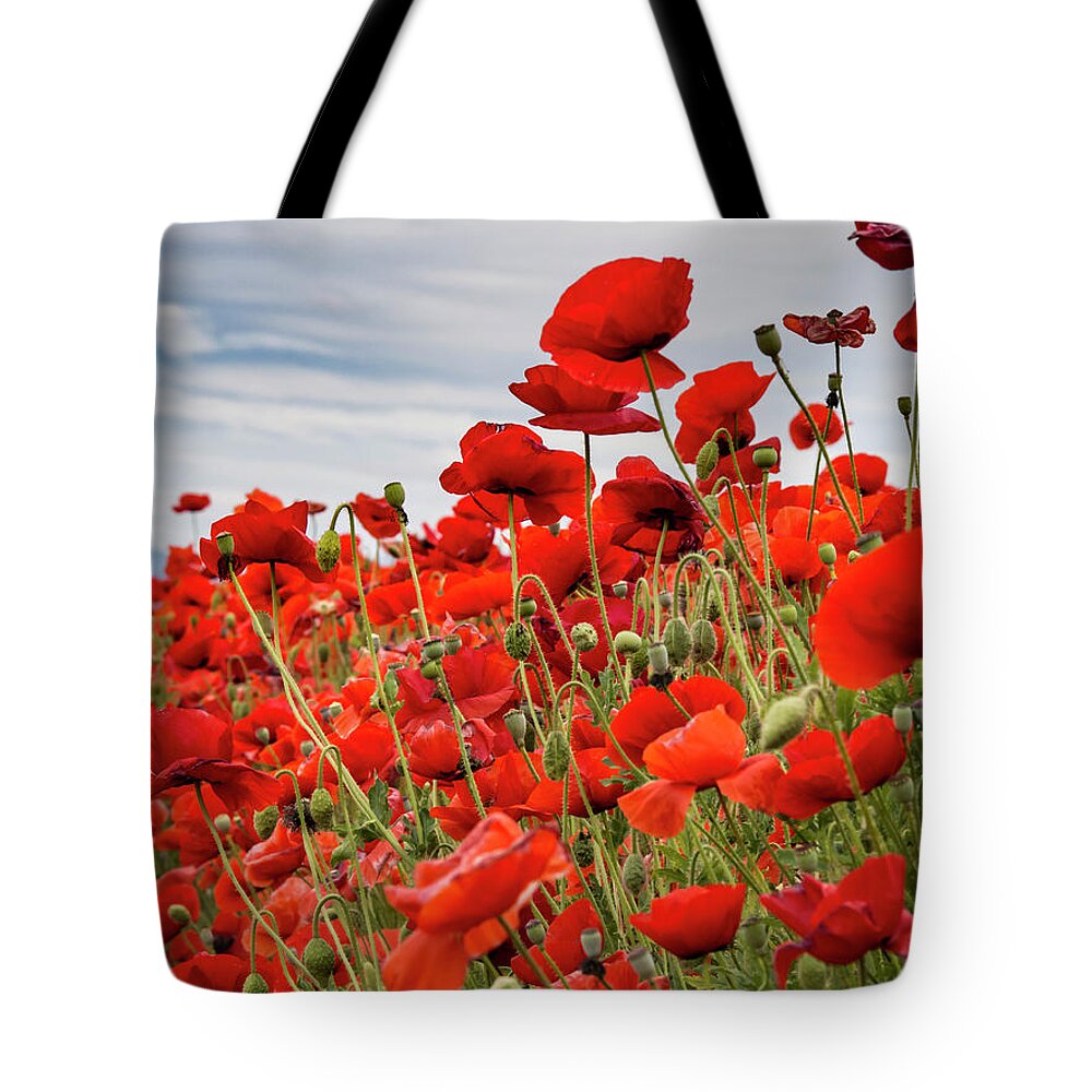 Jean Noren Tote Bag featuring the photograph Waving Red Poppies by Jean Noren