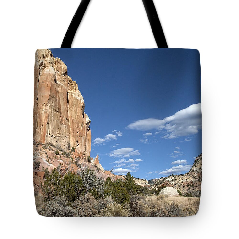 Landscape Tote Bag featuring the photograph Way in the distance by Elvira Butler
