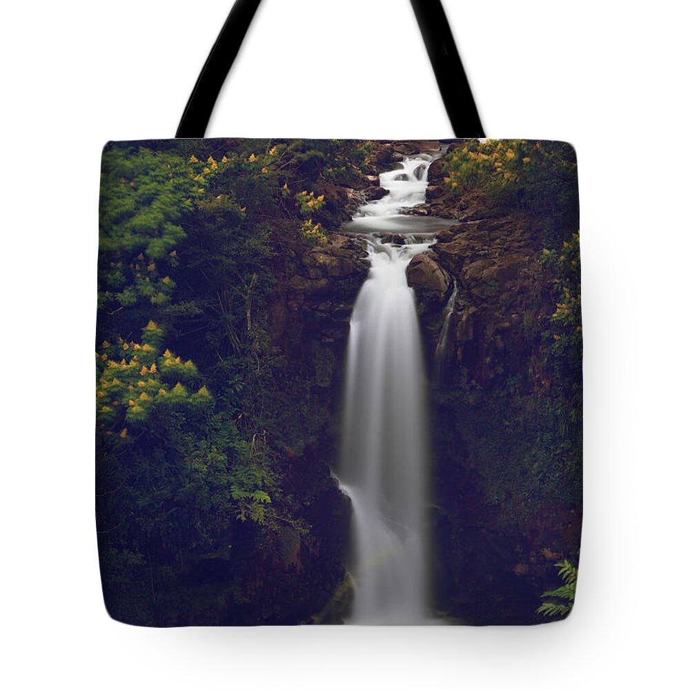 Kamae'e Falls Tote Bag featuring the photograph We Almost Had It All by Laurie Search