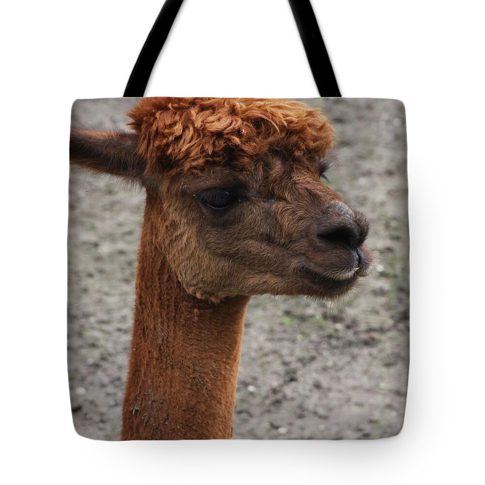 Different Tote Bag featuring the photograph We Are Different by Vadim Levin