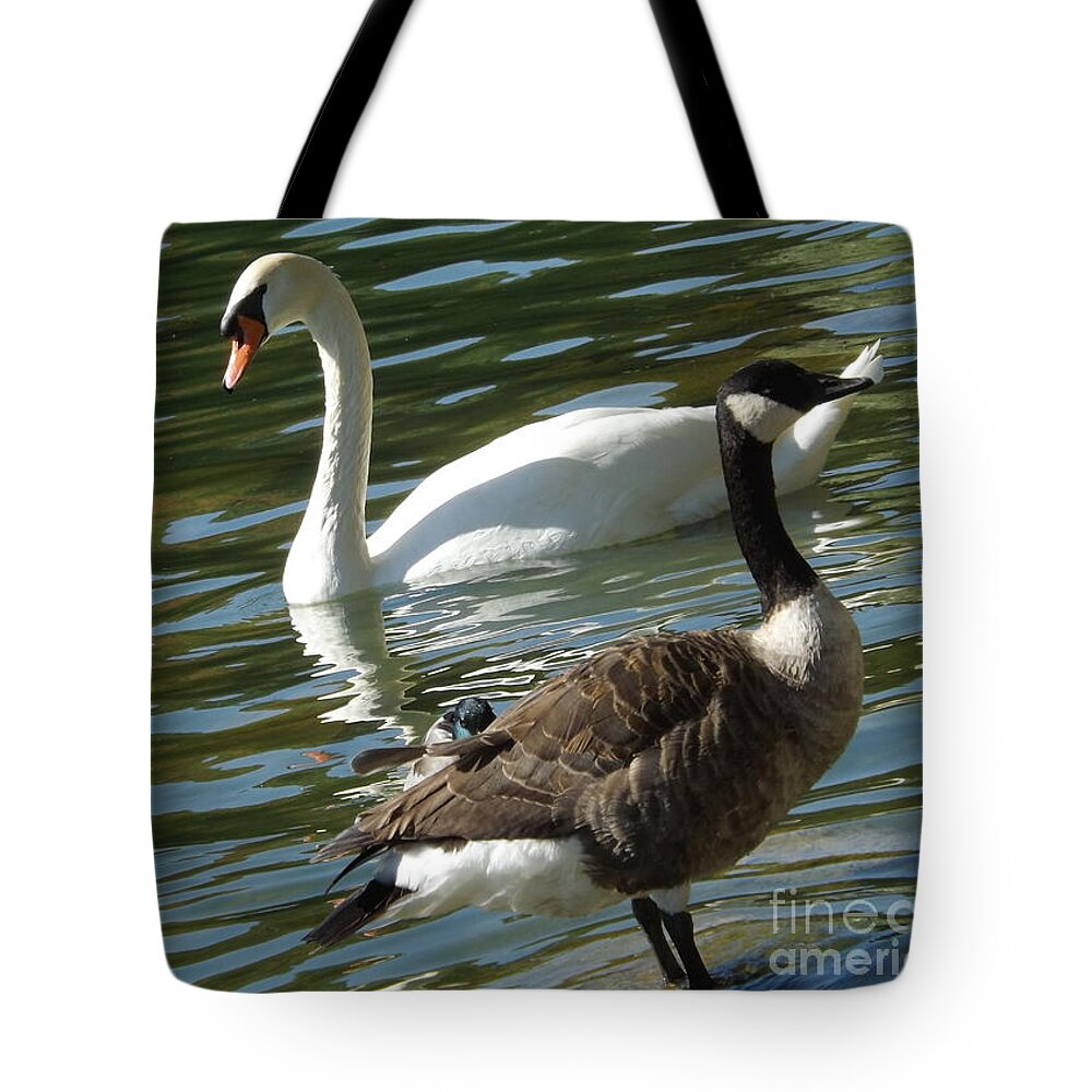Bird Tote Bag featuring the photograph We Are Family by Lingfai Leung