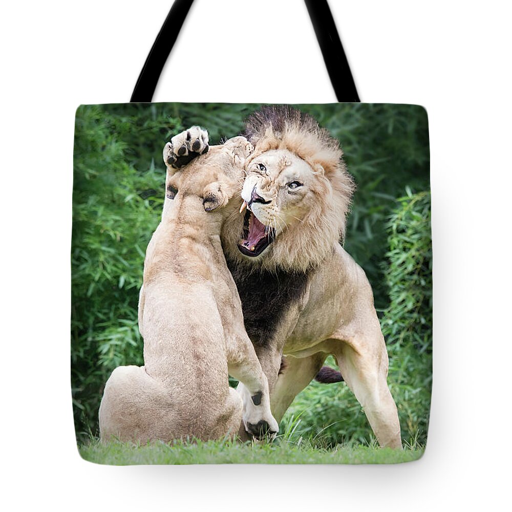 Cincinnati Zoo Tote Bag featuring the photograph We Are Only Playing by Ed Taylor