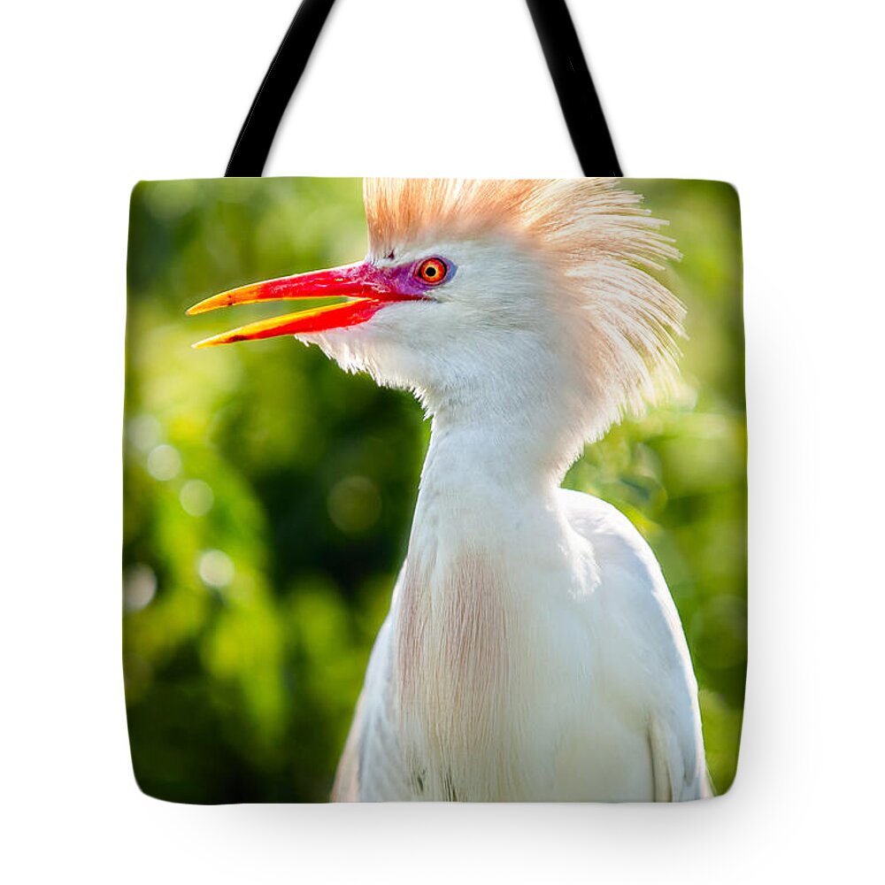Art Tote Bag featuring the photograph Wearing His Colors by Christopher Holmes
