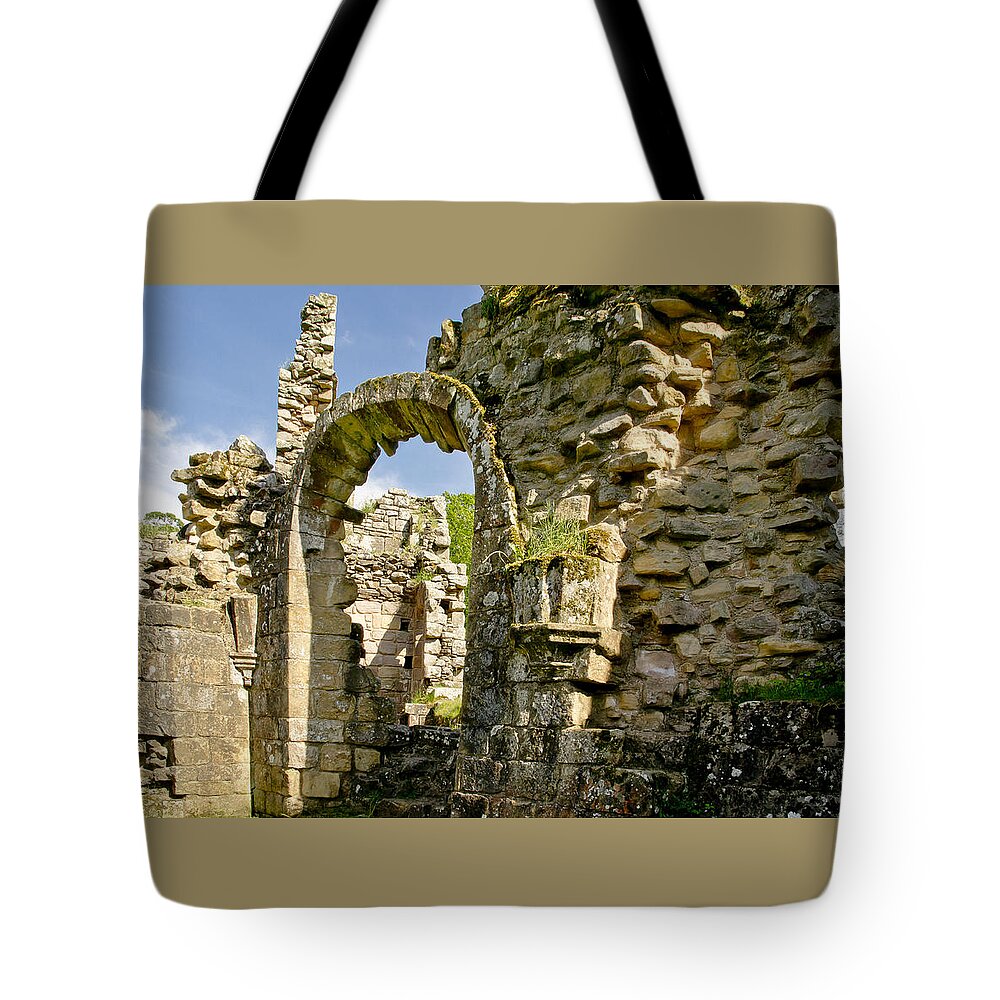 Stone Tote Bag featuring the photograph Weathered. by Elena Perelman