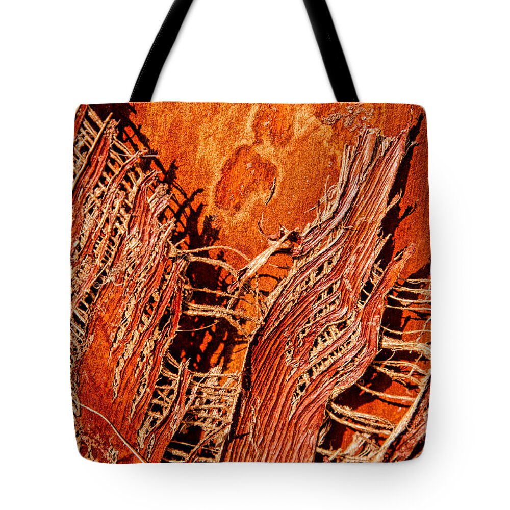 Abstracts Tote Bag featuring the photograph Weaver's Madness by Marilyn Cornwell