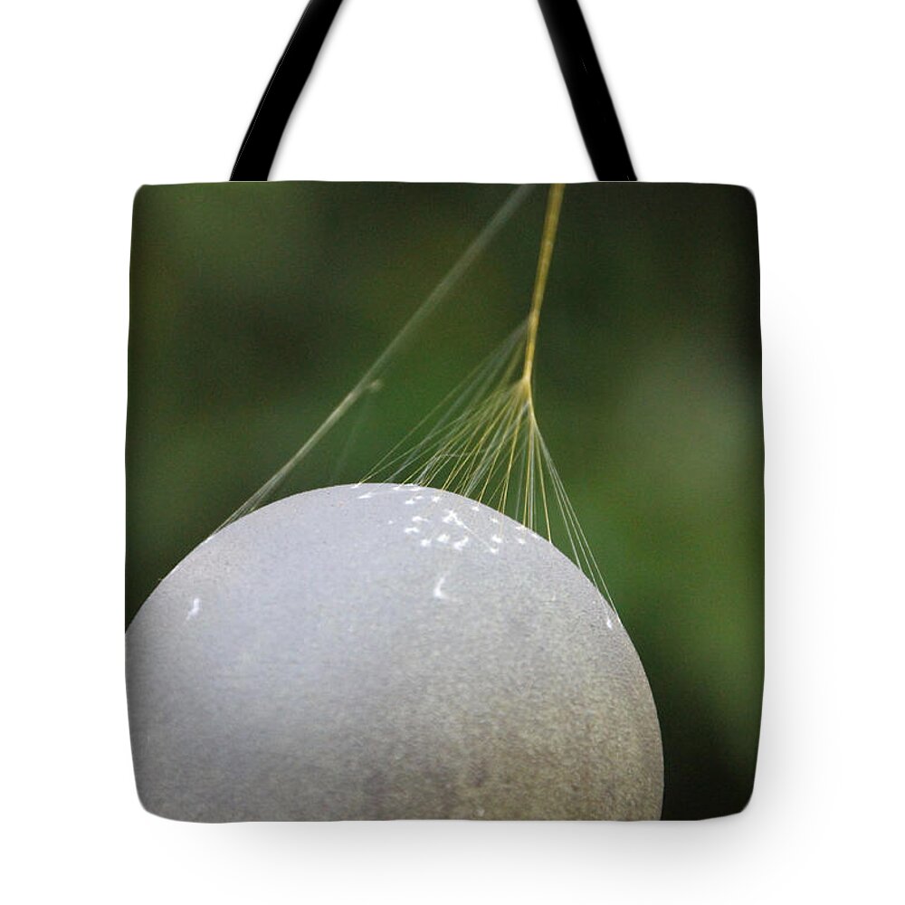 Green Tote Bag featuring the photograph Web Anchor by Laura Martin