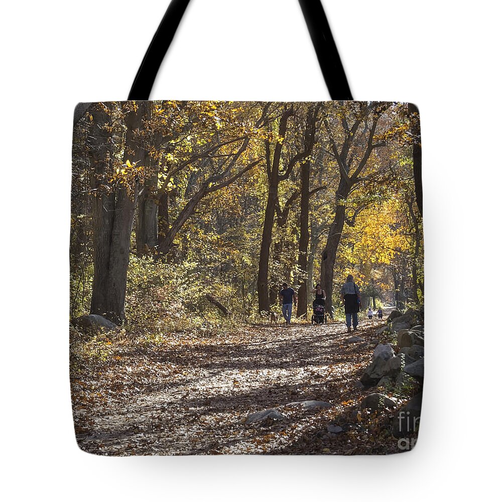 Trees Tote Bag featuring the photograph Wednesday in the Park by Lili Feinstein
