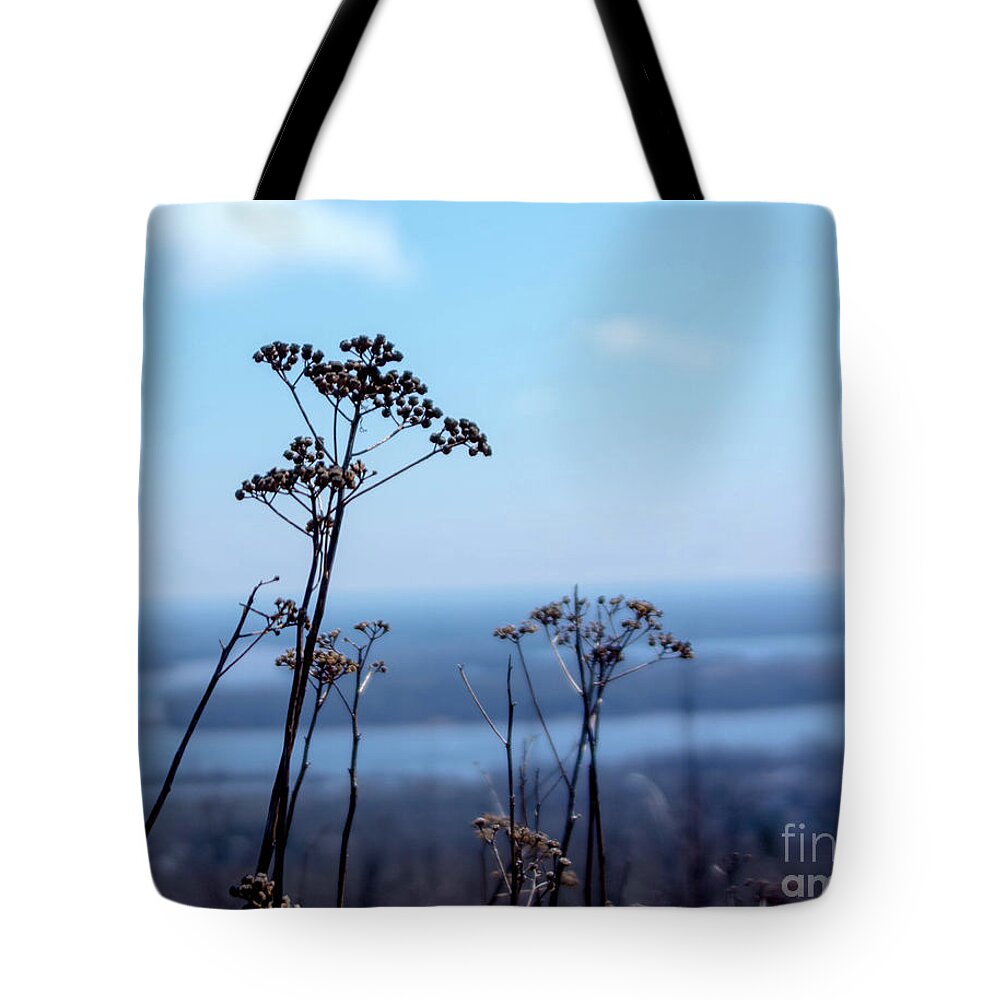 Tinas Captured Moments Tote Bag featuring the photograph Weeds by Tina Hailey
