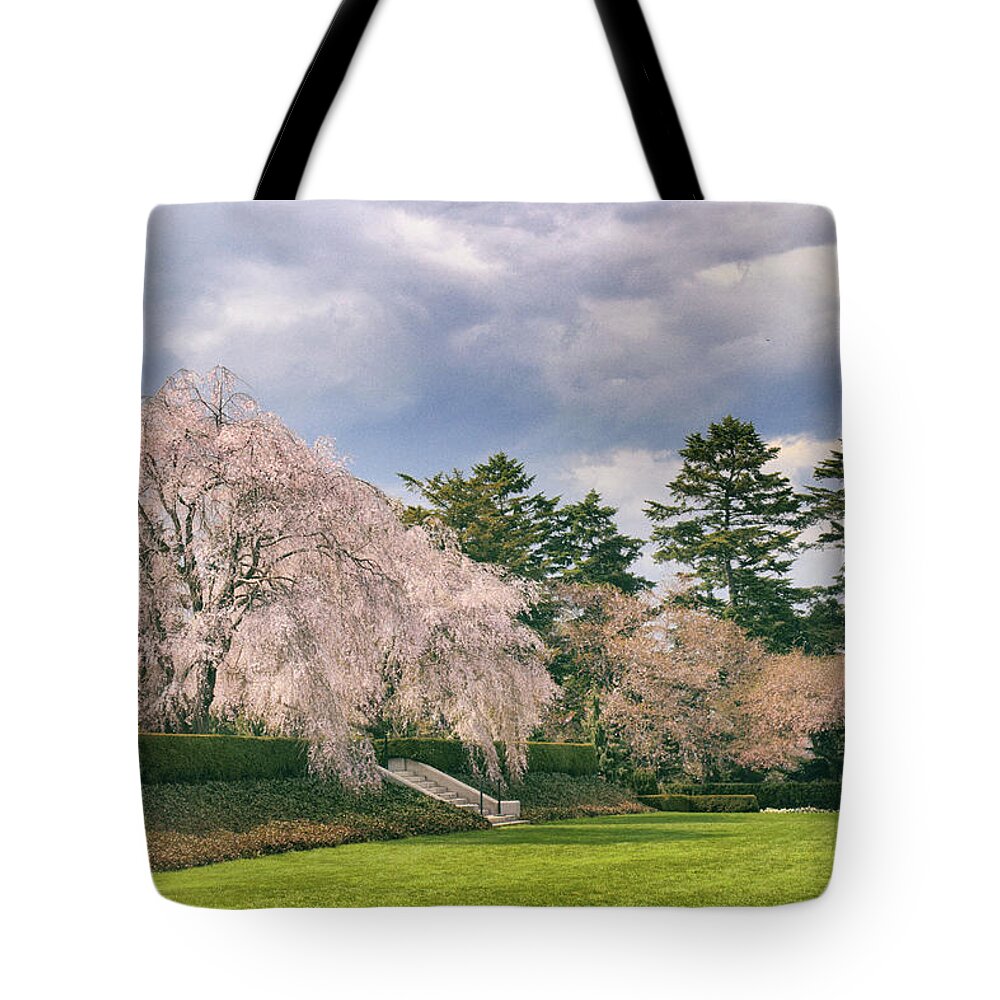 Cherry Trees Tote Bag featuring the photograph Weeping Cherry in Bloom by Jessica Jenney