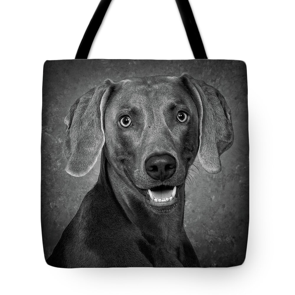 Dog Tote Bag featuring the photograph Weimaraner In Black and White by Greg and Chrystal Mimbs