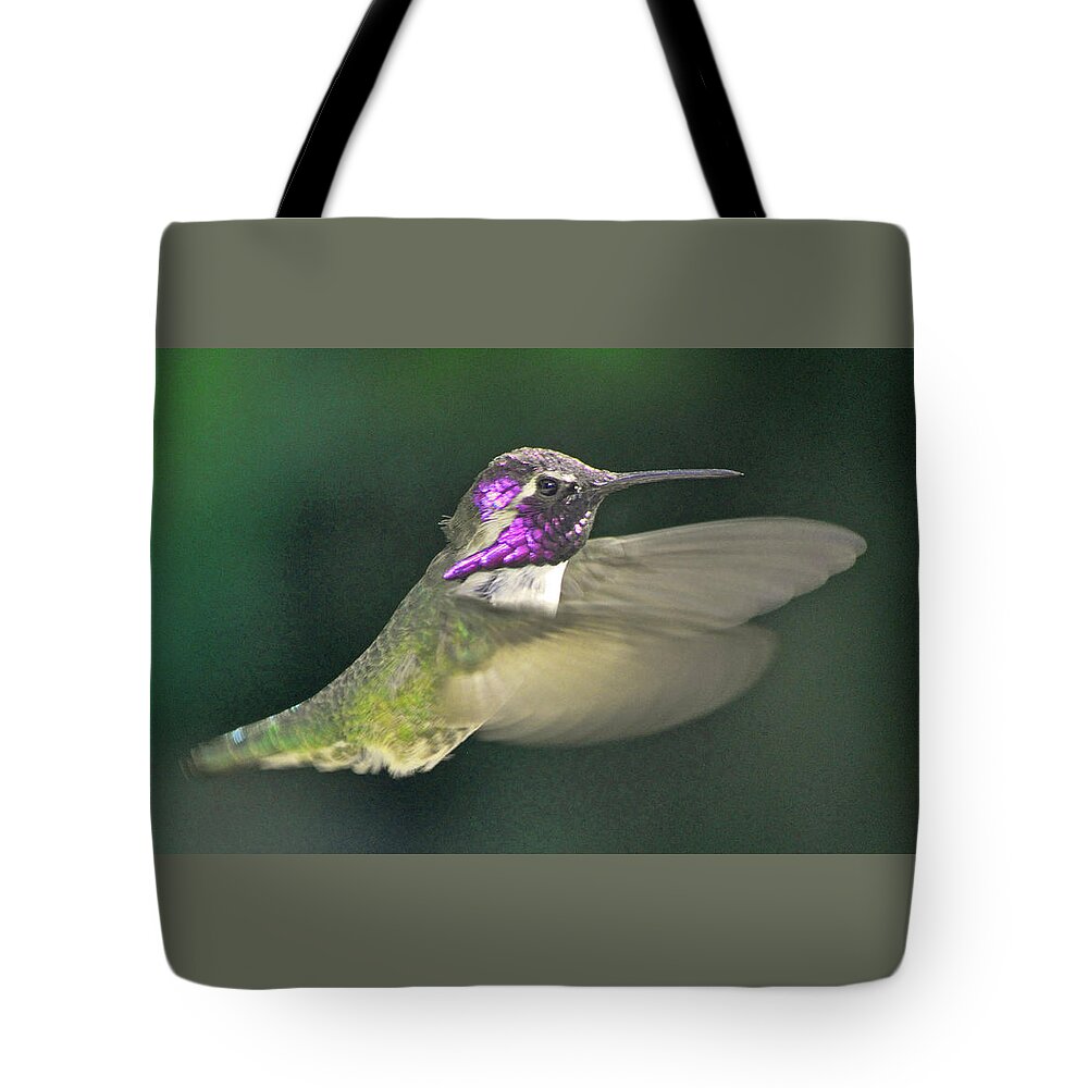 Animal Tote Bag featuring the photograph Welcome Home Hug by Jay Milo