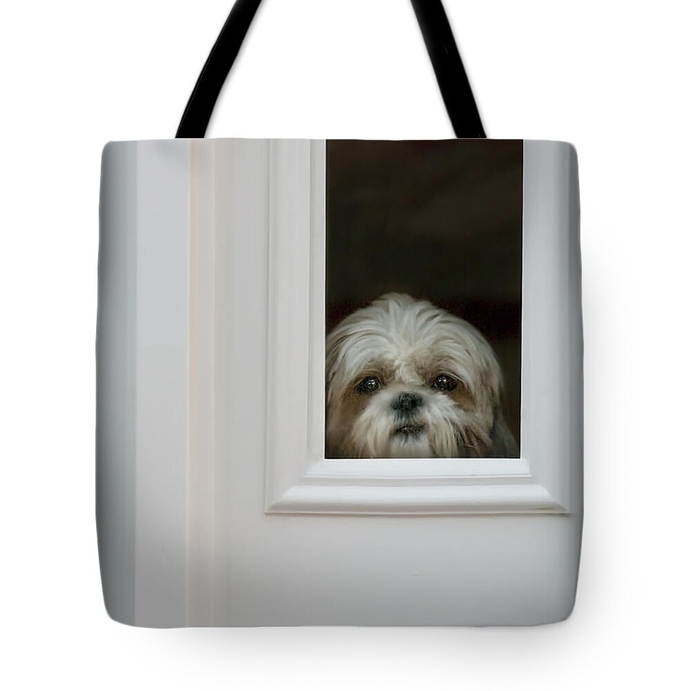 Dog Tote Bag featuring the photograph Welcome Home by Mitch Spence
