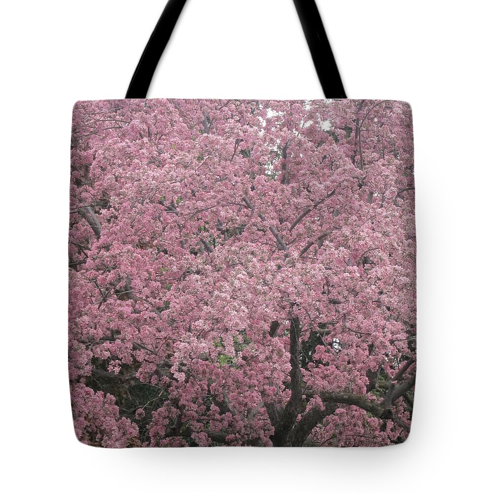 Art Tote Bag featuring the photograph Welcome Spring 10 by Funmi Adeshina